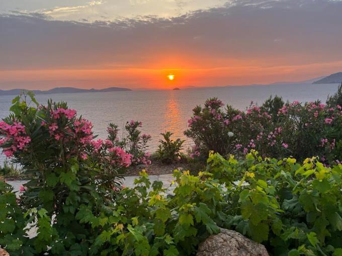 Patmos Garden Sea Apartment Grikos Bay  Exterior photo