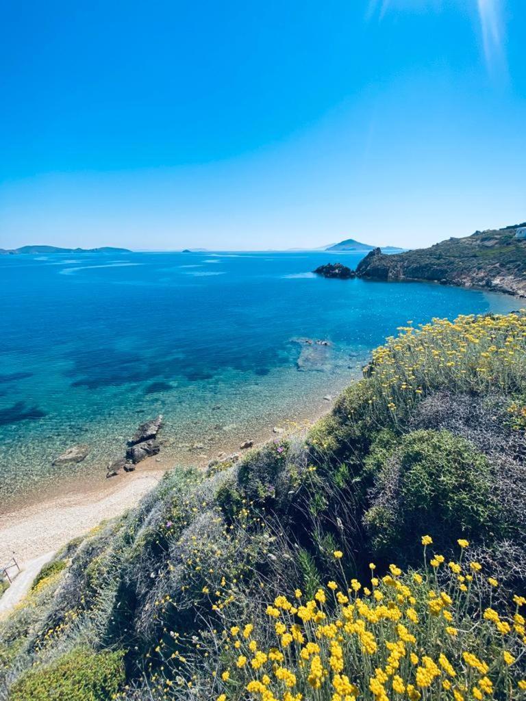 Patmos Garden Sea Apartment Grikos Bay  Exterior photo